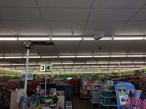Dollar Tree Dollar Tree